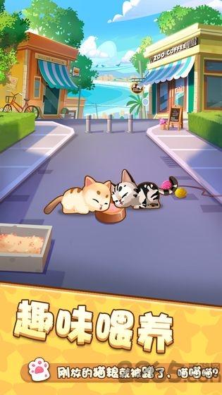 爱猫公社游戏(暂未上线),爱猫公社,经营游戏