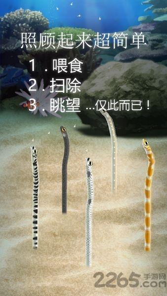 治愈的花园鳗育成游戏下载,治愈的花园鳗育成游戏,养成游戏,模拟游戏